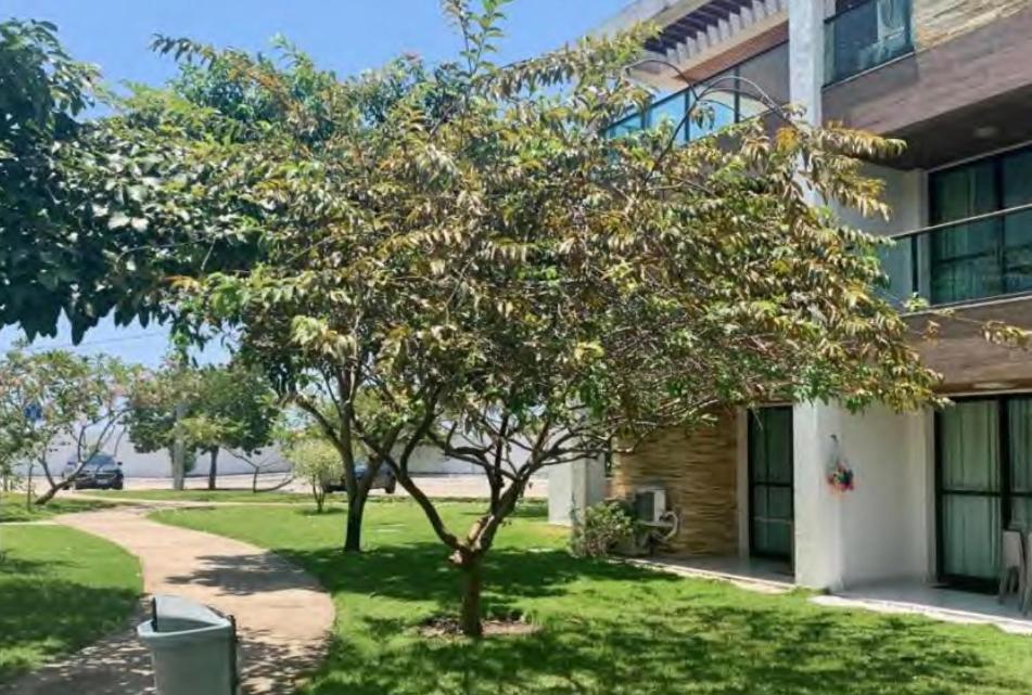 Condominio Iloa Resort Barra de São Miguel Exterior foto
